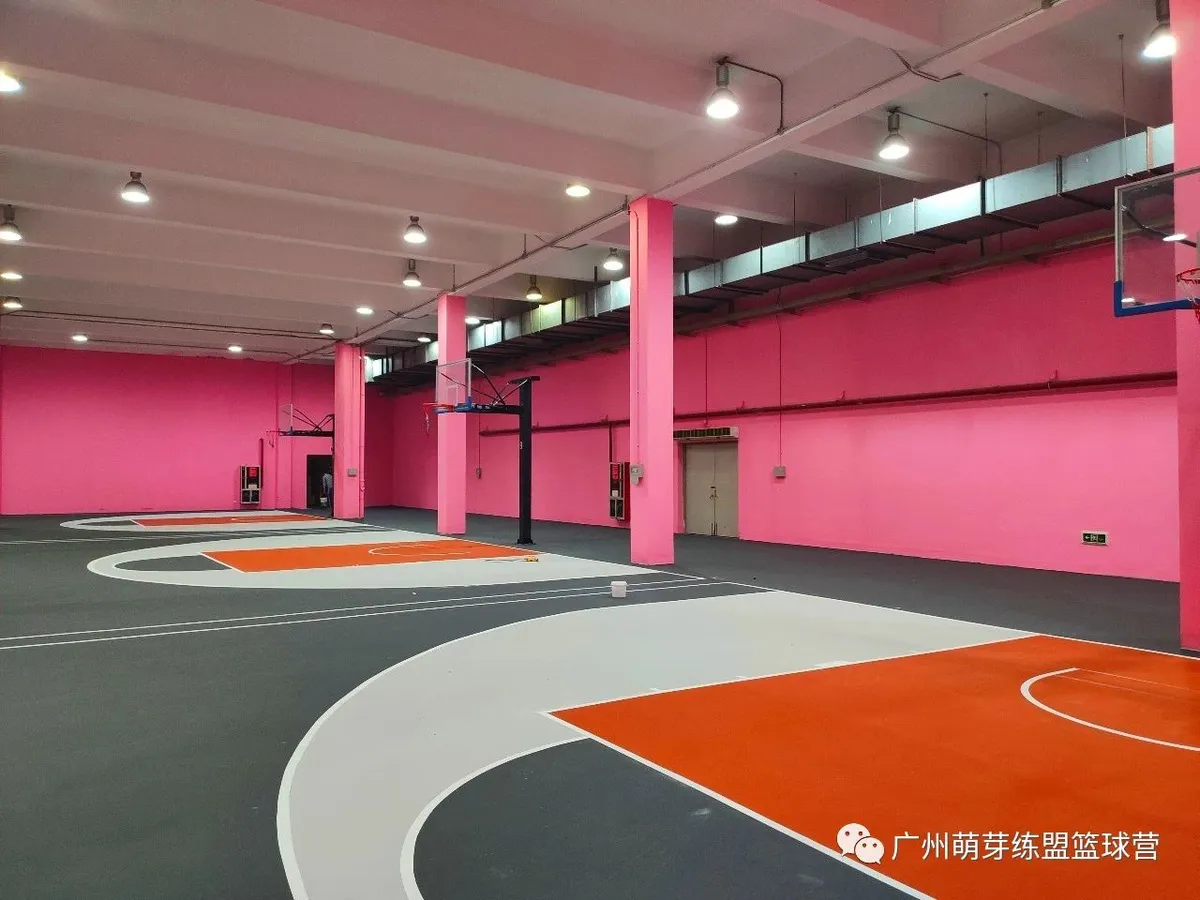 哪里能找到分卫的技术分析视频_0